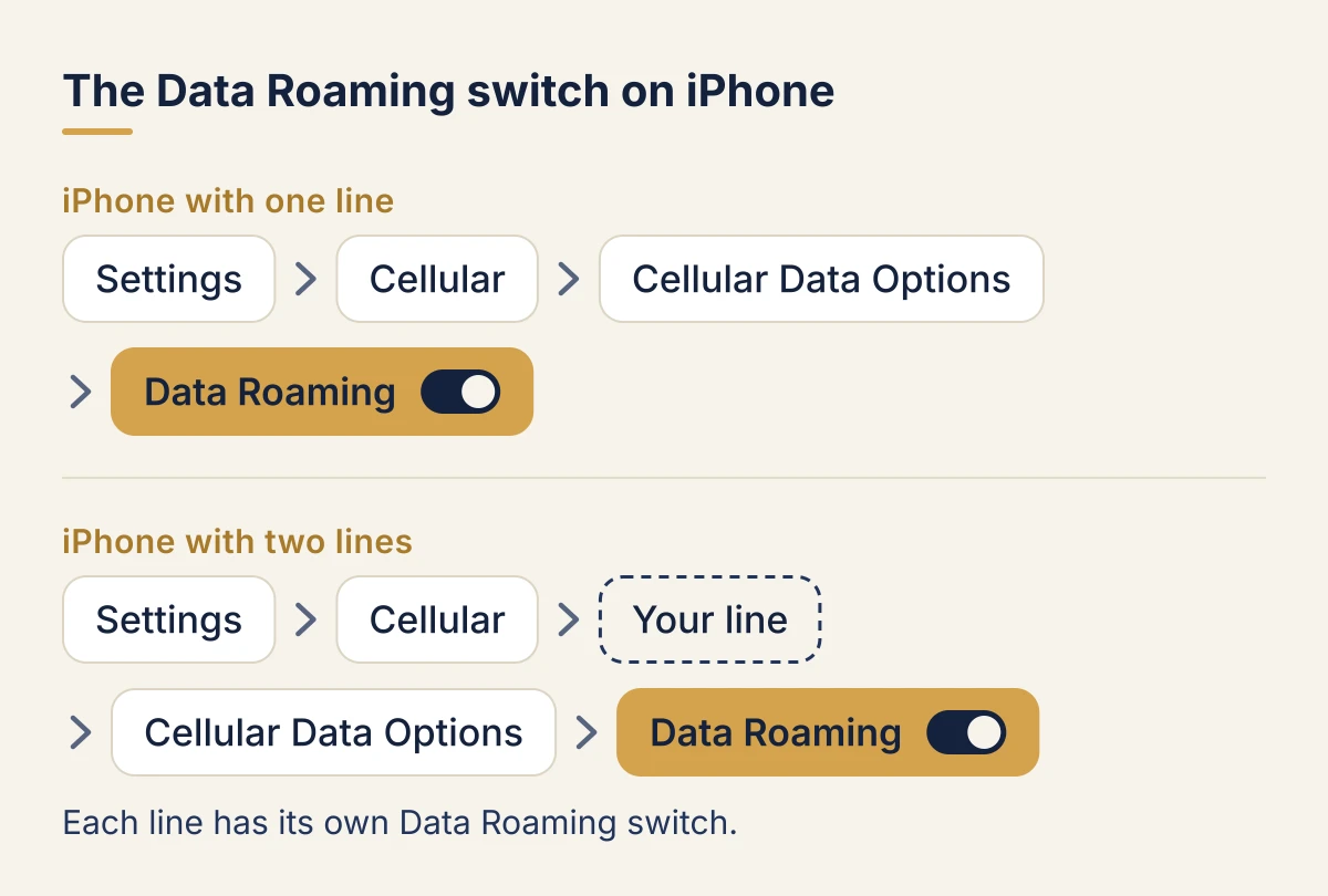 Finding the Data Roaming switch on iPhone. With one line: Settings, then Cellular (Mobile Data or Mobile Service in some countries), then Cellular Data Options, then Data Roaming. With two lines: Settings, then Cellular, then tap the line under SIMs, then Cellular Data Options, then Data Roaming. Each line has its own switch.
